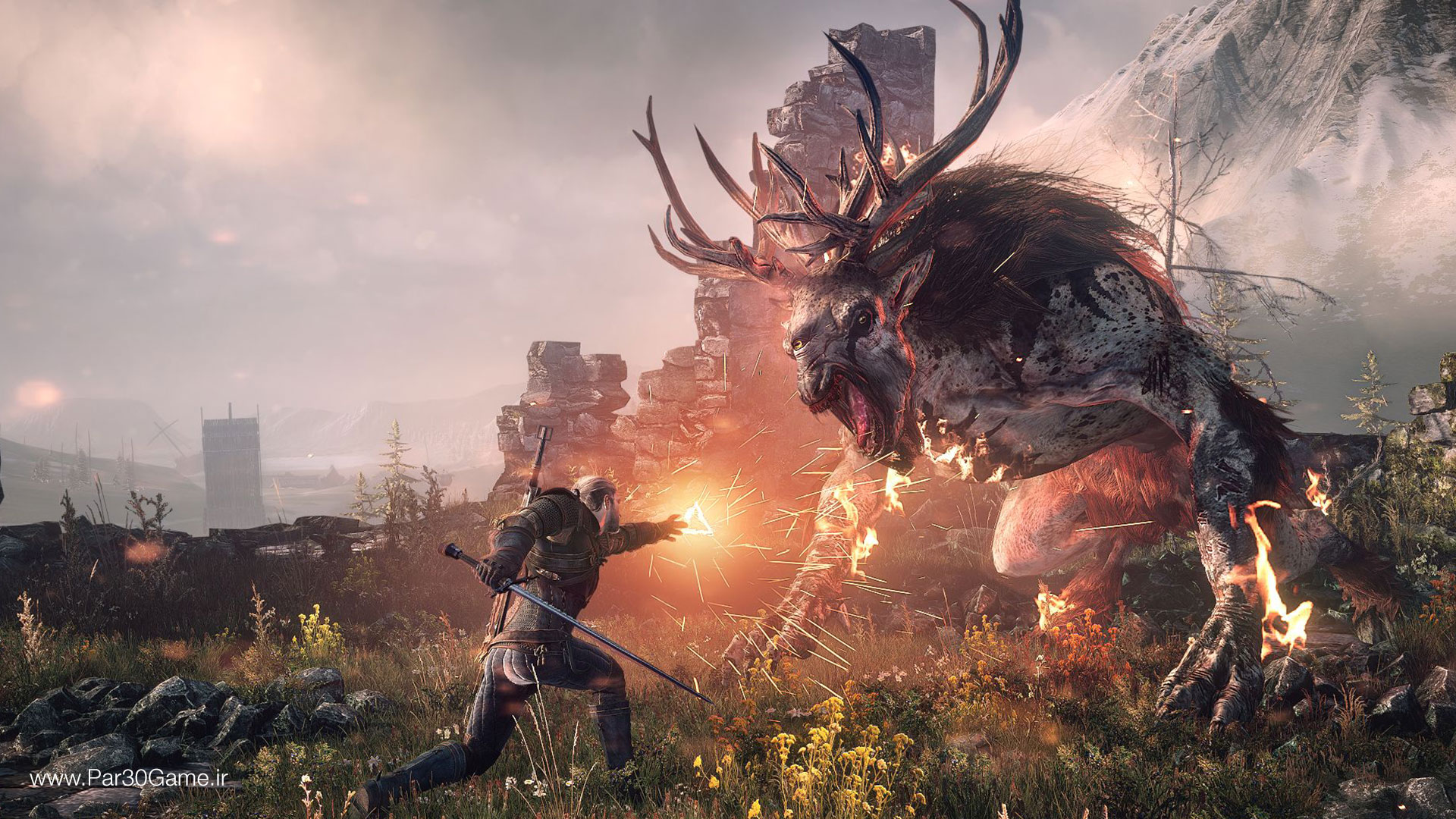 The Witcher 3 Wild Hunt 7 فروشگاه اینترنتی کاکا لپ تاپ